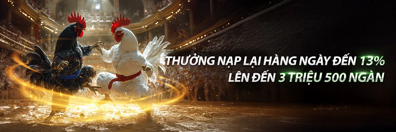 Đá gà trực tuyến kịch tính tại HD88 Giải Trí